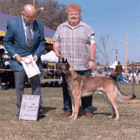 CHASEbob.gif (96958 bytes)