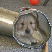 duct2.jpg (66704 bytes)